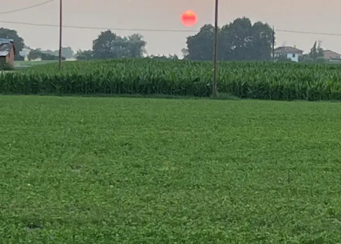 Solarola * 카스텔겔포디블로냐