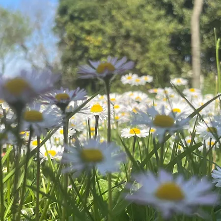 Solarola Castel Guelfo Di Bologna