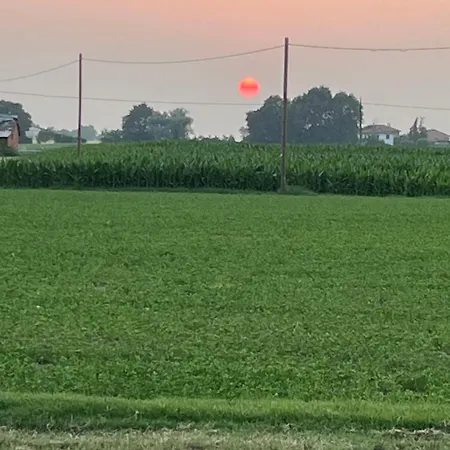 Solarola * Castel Guelfo Di Bologna
