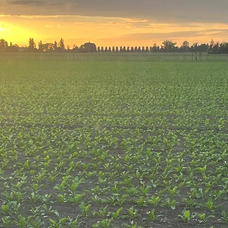 Solarola Castel Guelfo Di Bologna