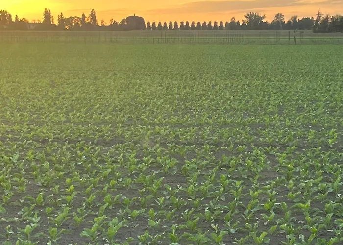 Solarola Castel Guelfo Di Bologna